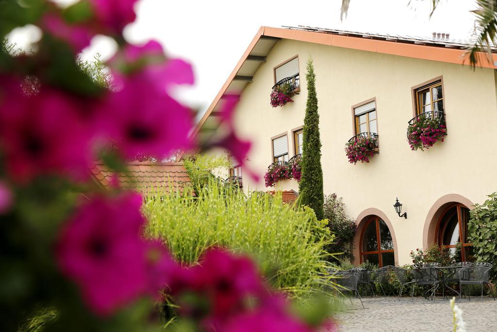 Villa Hochdoerffer Gaestehaus Landau in der Pfalz Kültér fotó